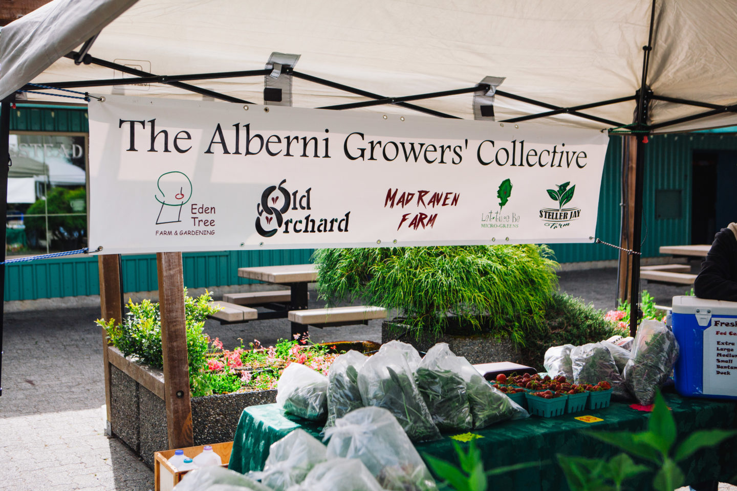 farmers market Port Alberni