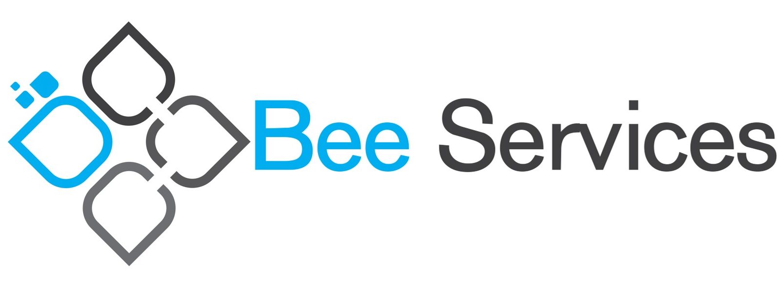 b-bbee services