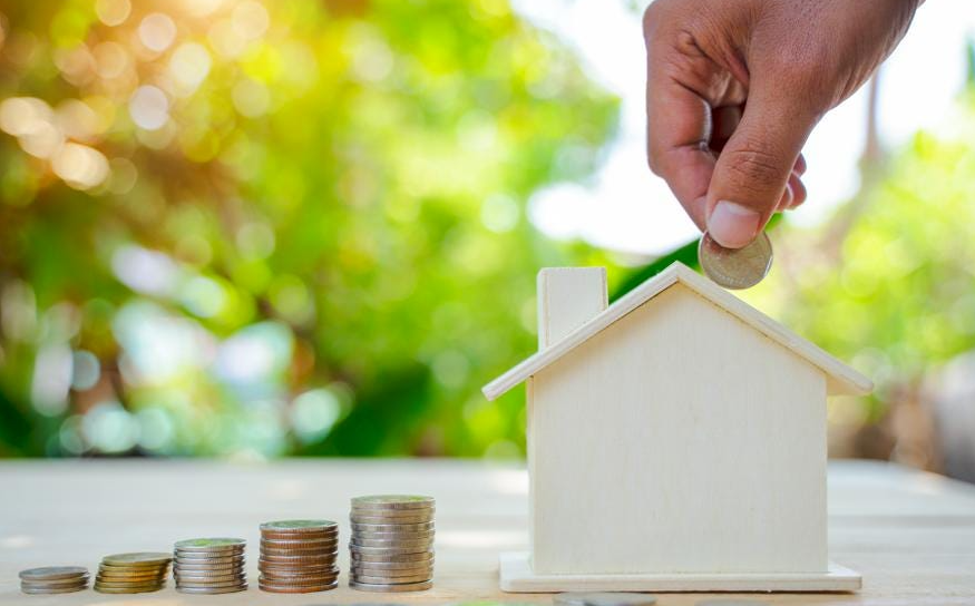 What is the Role of Property Investment Advisors Sunshine Coast and how they help you?